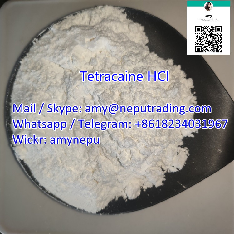 99% Purity Tetracaine HCl Powder CAS 136-47-0 Safe Customs Clearance